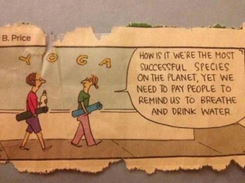 242c815011239ce2a685582d9ffaf5a3